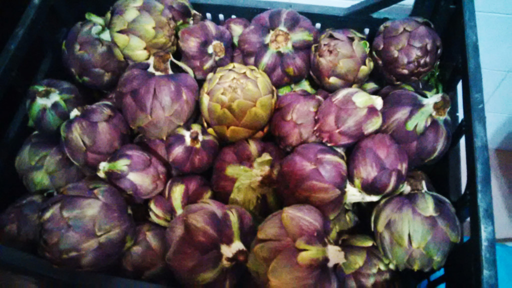 Carciofi sott’olio