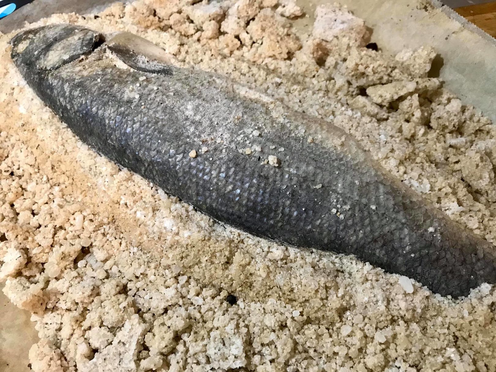 Spigola (o branzino?) al sale