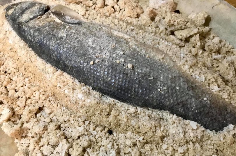 Spigola (o branzino?) al sale