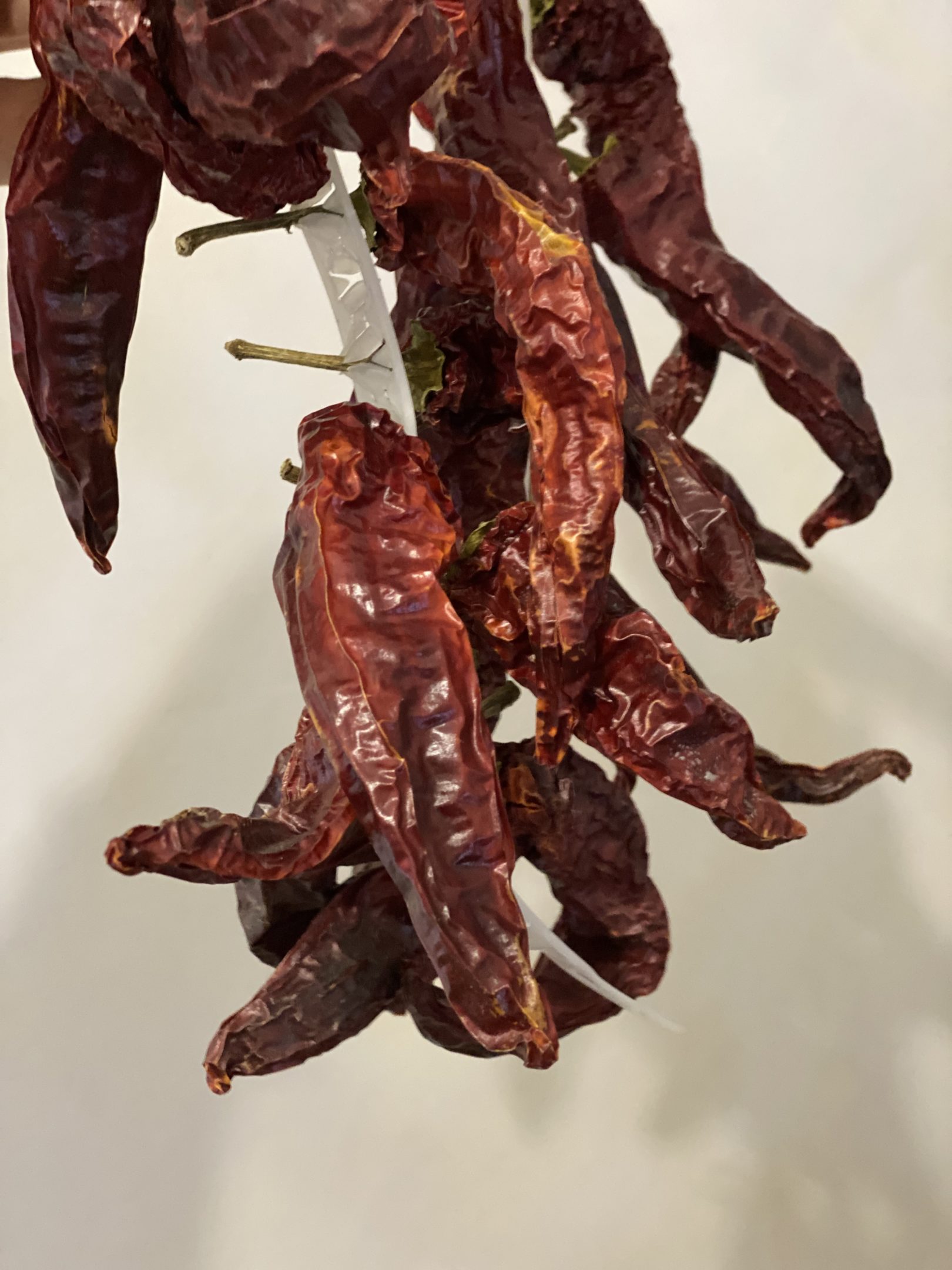 Spaghettoni rosso peperone